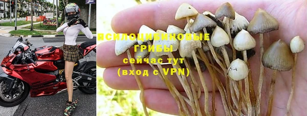 тгк Покров