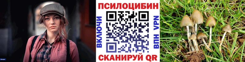 купить Александровск Галлюциногенные грибы Cubensis